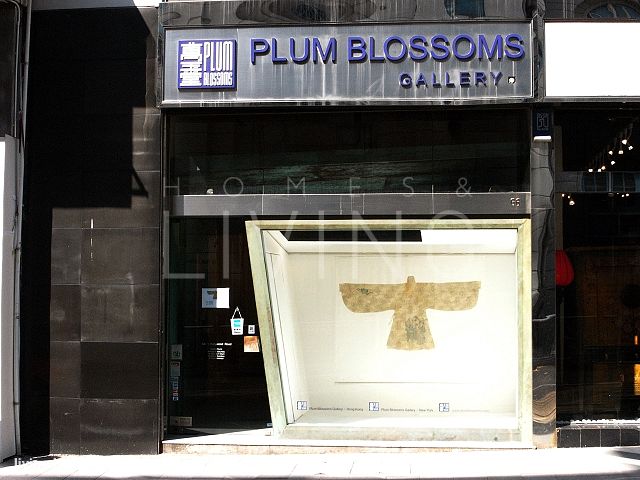 Plum Blossoms Gallery