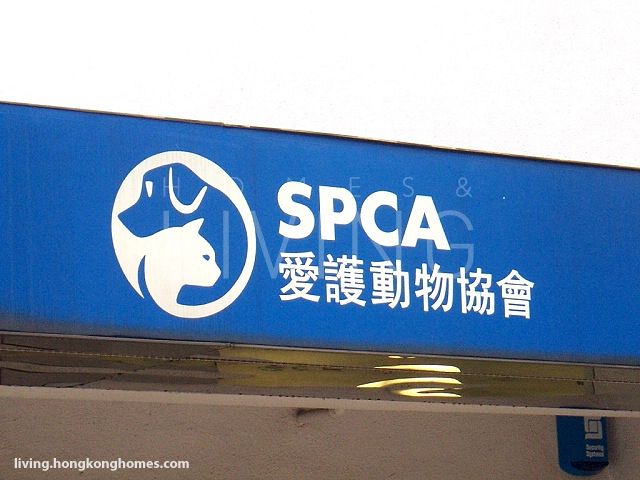 香港愛護動物協會